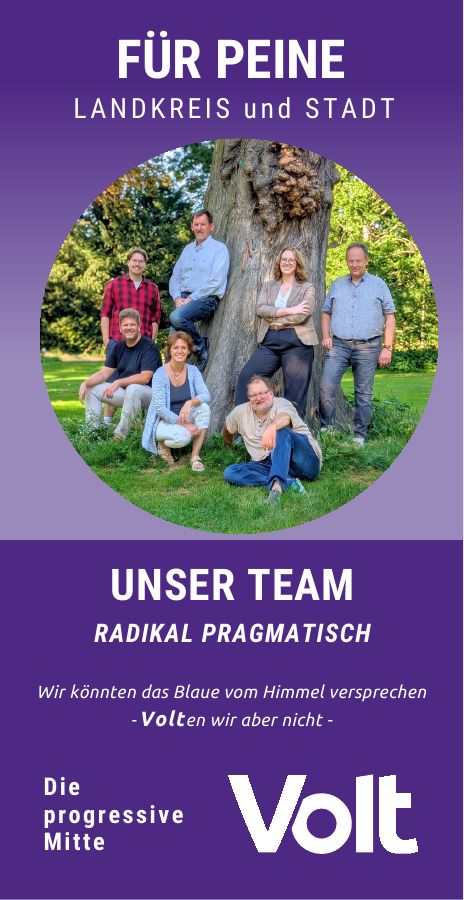 Flyer: Volt für Peine, Landkreis und Stadt, unser Team stellt sich vor